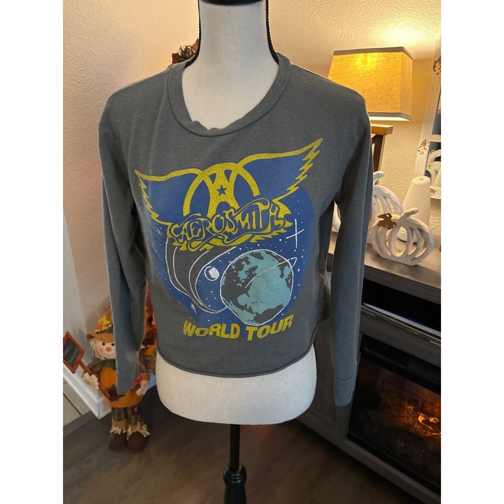Junk Food Aerosmith sweater‎ cropped gray